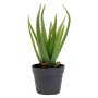Aloes w doniczce sztuczna - 51x34x45 cm
