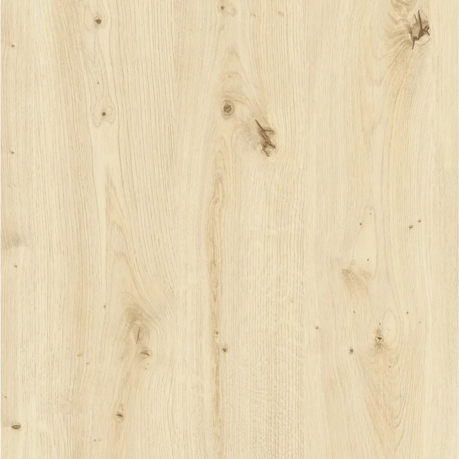 Okleina DĄB SKANDYNAWSKI beżowa 90 cm x 200 cm