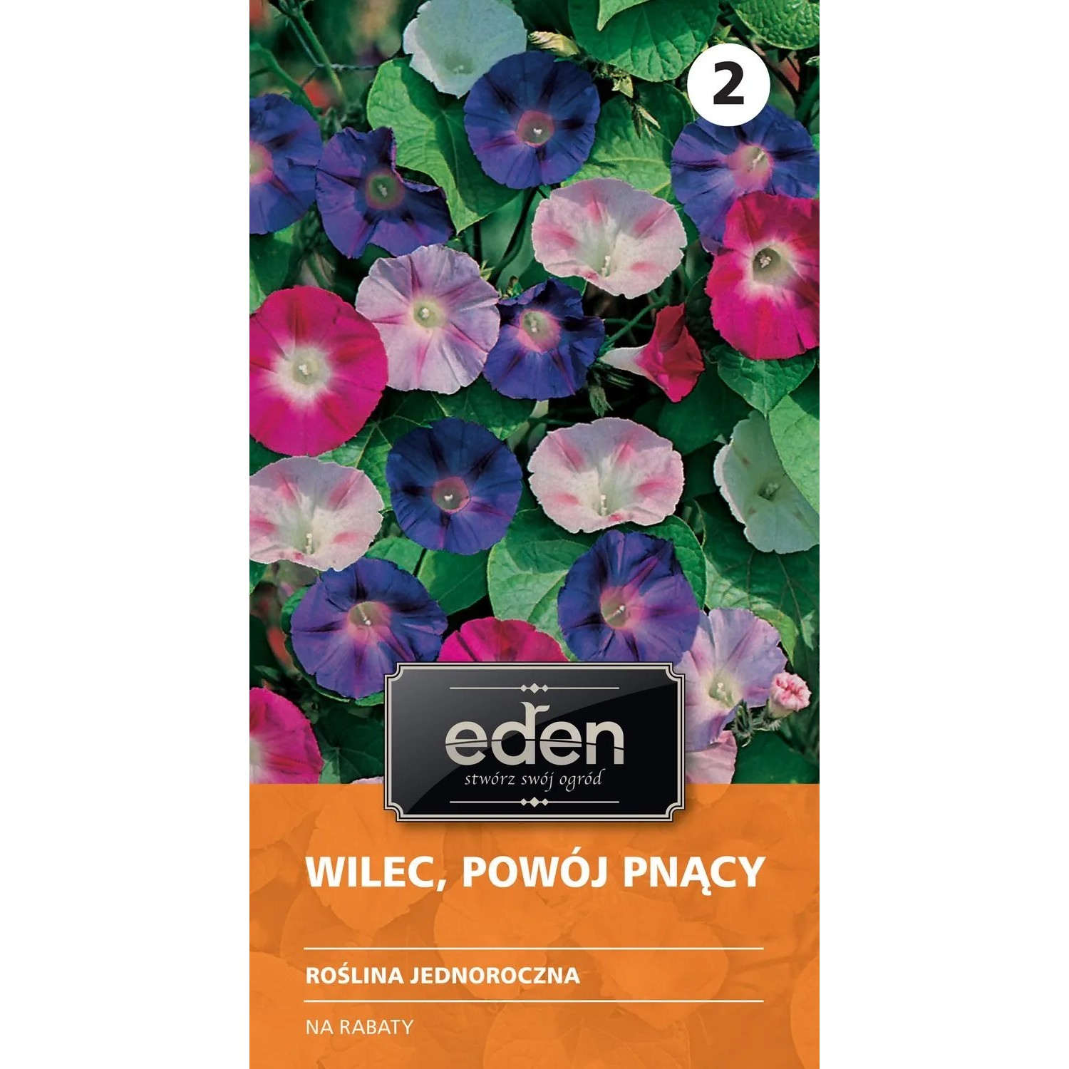 Wilec powój pnący mieszanka - 4 g