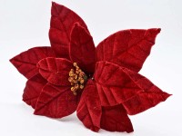 Gwiazda betlejemsk na piku czerwona - 27 cm