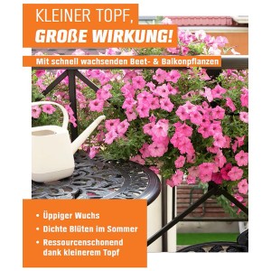 Mieszanka kolorów lwiej paszczy w doniczce z różowymi kwiatami na balkonie, konewka. Antirrhinum na rabaty, tarasy i do ogrodów.