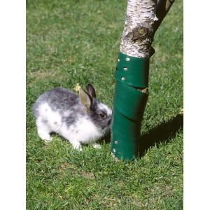 Drzewo z zieloną osłoną chroniącą przed królikami. Zestaw 2 szt.