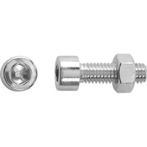 Śruba z łbem soczewkowym i gniazdem sześciokątnym, 6 mm x 30 mm, stal, z nakrętką, 8 sztuk.