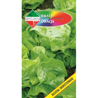 Sałata masłowa Owacja Spójnia - 1 g
