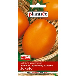 Opakowanie nasion z pomidorami Jokato w kolorze pomarańczowym.