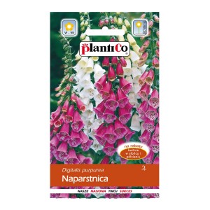 Opakowanie nasion naparstnicy (Digitalis purpurea) z różowymi i białymi kwiatami.