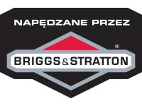 Briggs&Stratton