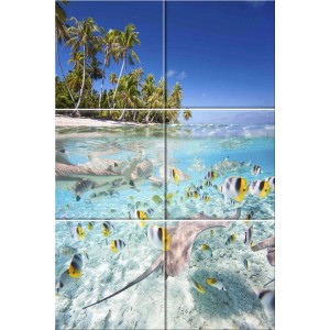 t.b.t. Dekor: Tropikalna plaża z rybami i rekinami w czystej wodzie.