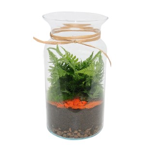 Kompozycja roślin zielonych w szklanym słoju