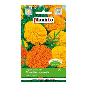 Opakowanie nasion Tagetes erecta (aksamitka) z pomarańczowymi kwiatami.