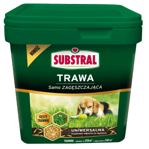 Nasiona traw Substral w zielonym wiadrze. Samozagęszczające, wytrzymałe i uniwersalne.