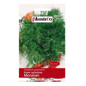 Zdjęcie opakowania nasion kopru 'Moravan'.