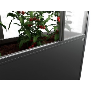 Biohort Florentina szklarnia na podwyższoną grządkę, 2x1 m, ciemnoszary metalik, z rośliną pomidora.