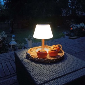 Struhm Lampa solarna stołowa PELAGIA LED 2W 4000K 100lm IP44 28cm chrom/biała