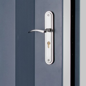 Zbliżenie na drzwi wewnętrzne ze srebrną klamką.