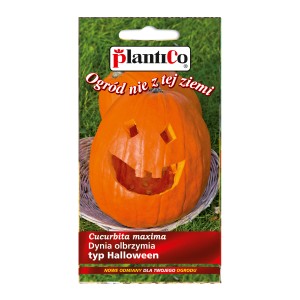 Nasiona dyni Halloween (t.b.t.) do upiornych dekoracji ogrodowych.