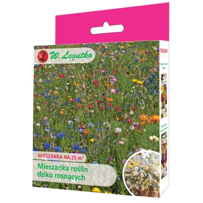 Legutko Mieszanka jednorocznych i wieloletnich roślin dziko rosnących