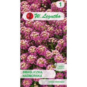 Opakowanie nasion kwiatów t.b.t.