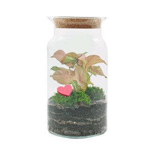 t.b.t. Las w szkle z różowymi liśćmi i dekoracyjnym sercem w szkle.