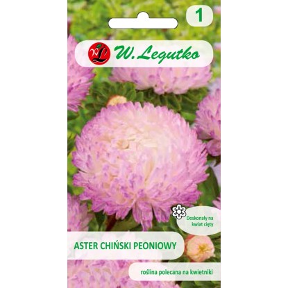 Aster chiński peoniowy biało-różowy 1 g