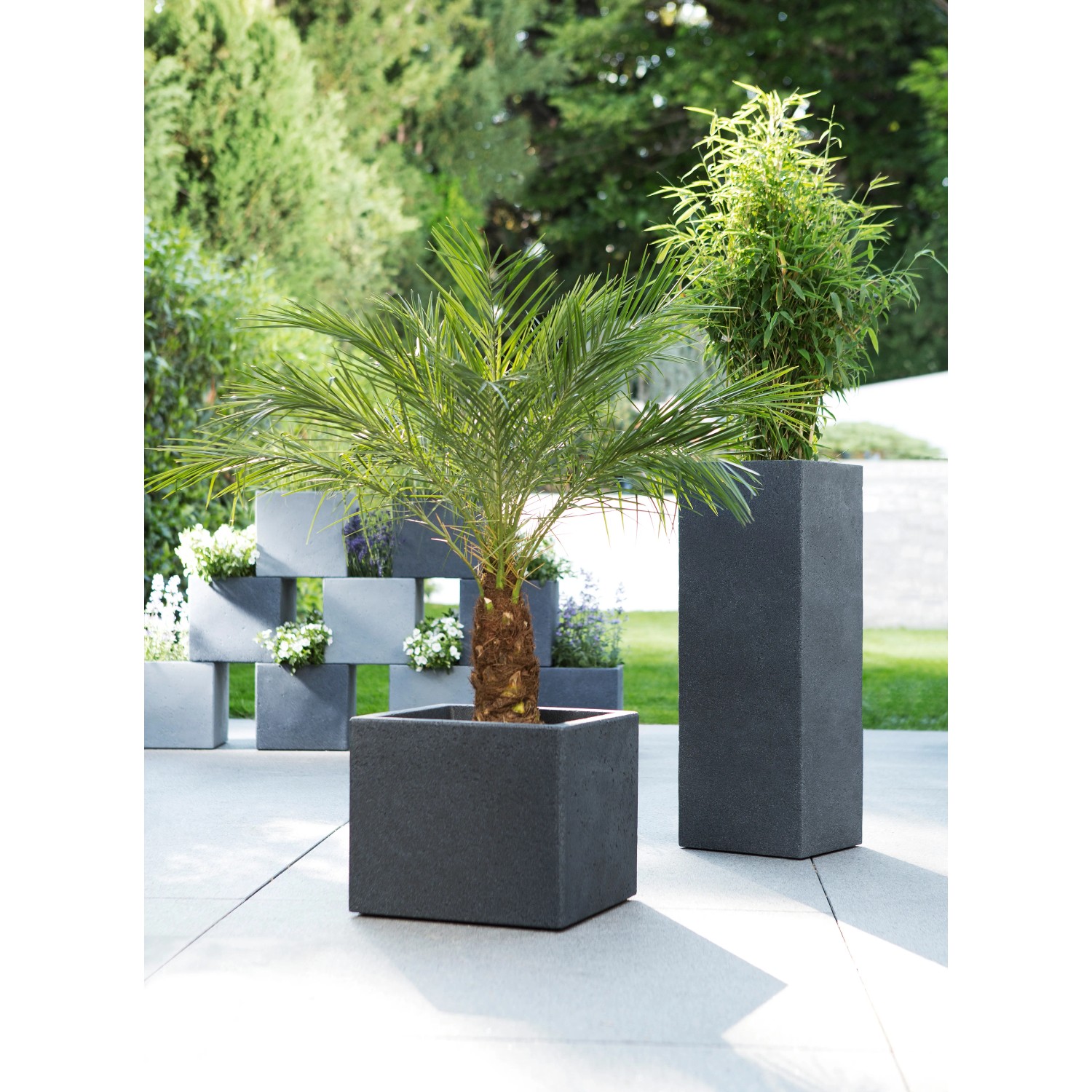 Kolumna na rośliny Scheurich C-Cube High, Ø 26 cm, Stony Black, z palmą i innymi roślinami w ogrodzie.