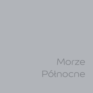 Próbka koloru farby ściennej t.b.t. w odcieniu "Morze Północne" (Morze Północne).