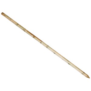 Drewniany palik ogrodowy do podpierania roślin. Naturalne drewno, zaostrzony.