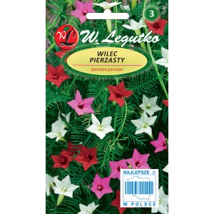 Opakowanie nasion wilec pierzasty 'Wilec Pierzasty' z czerwonymi, białymi i różowymi kwiatami.