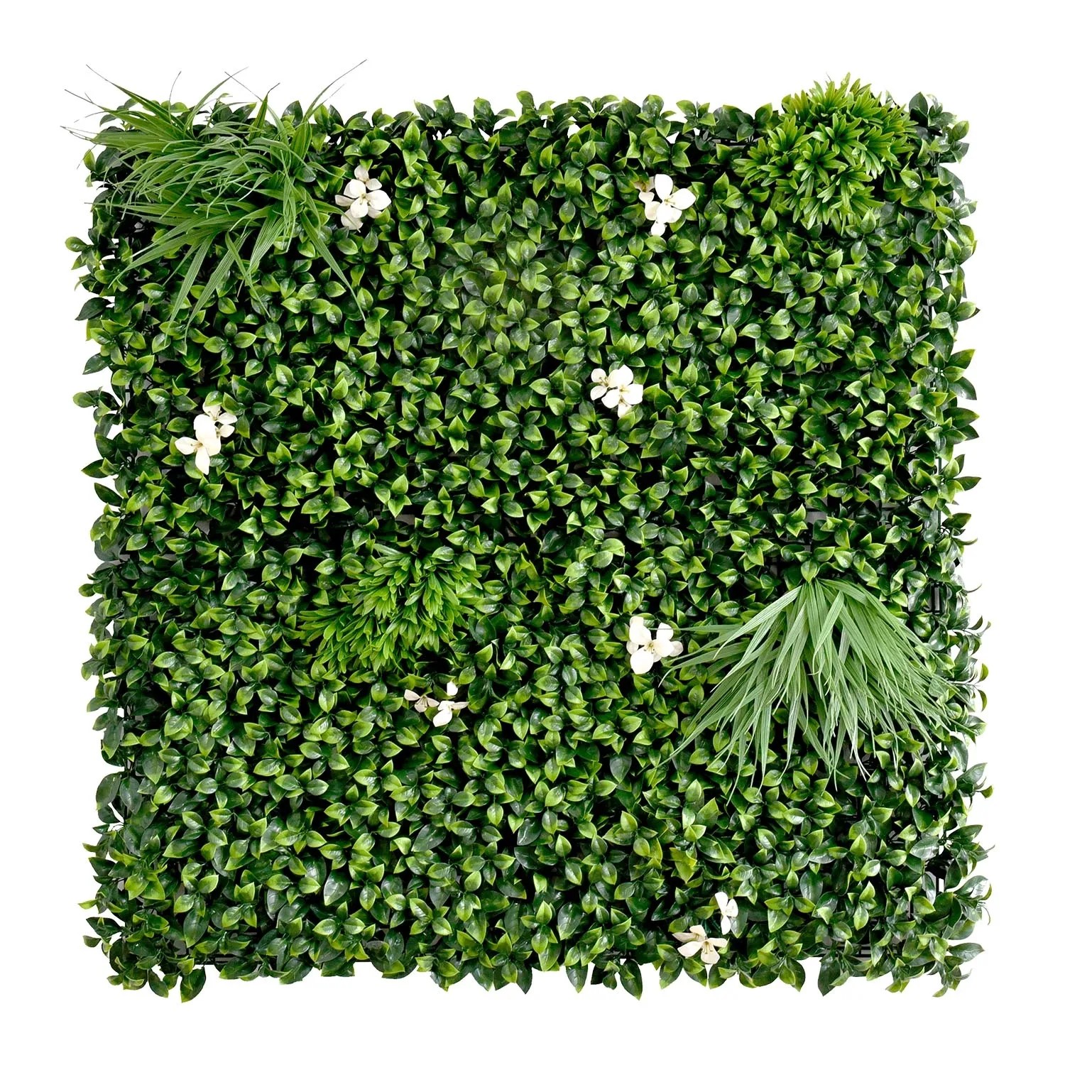 アイアン製 葉 オリーブ Panel Zielona ściana gardenia 100 x 100 cm kupuj w OBI