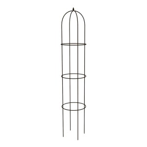 Czarna metalowa podpórka do roślin ogrodowych.