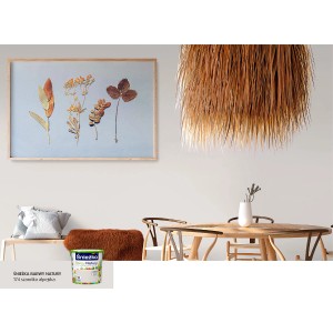 Farba do ścian w pokoju: Kolorowa farba do ścian t.b.t.