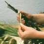 Ręce wiążą bukiet naturalną rafią. Naturalna rafia do dekoracji i prac ogrodowych.