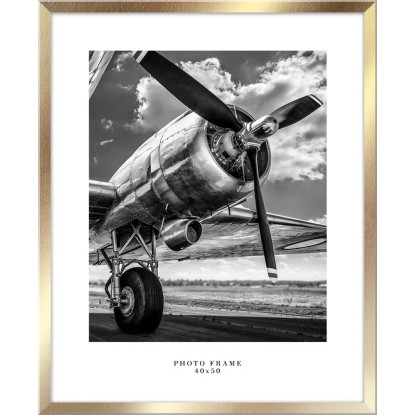 Ramka FLORYDA złota 40 cm x 50 cm