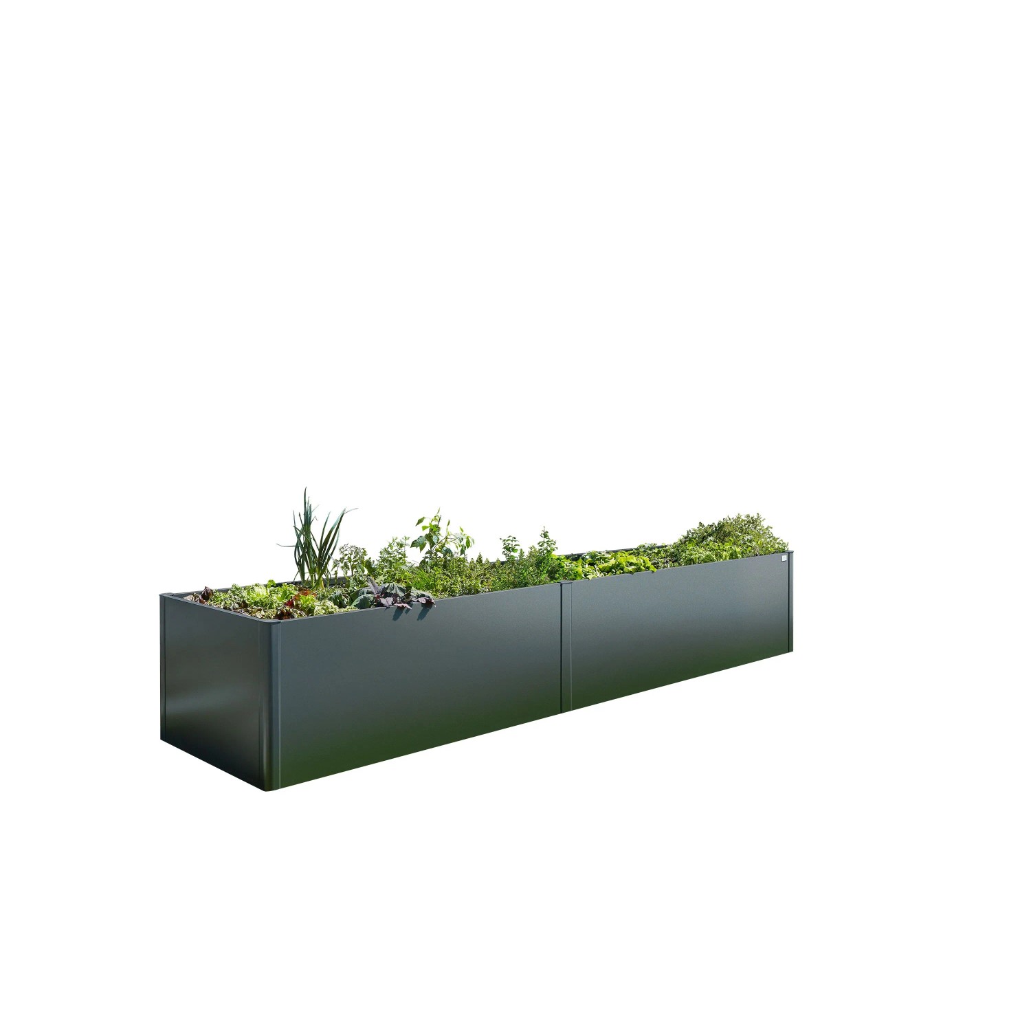 Biohort Metalowa podniesiona grządka 2x2 ciemnoszara metaliczna 201x201x77 cm