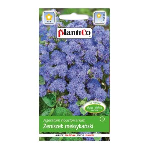 Opakowanie nasion Żeniszka meksykańskiego (Ageratum houstonianum) na kolorowe kwiaty.