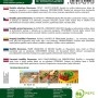 Bazylia właściwa bio Genovese - 1 g_2