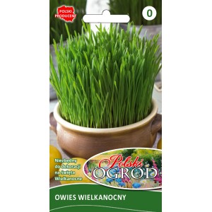 t.b.t. Nasiona ziół: Świeża, zielona trawa w doniczce, idealna do dekoracji.