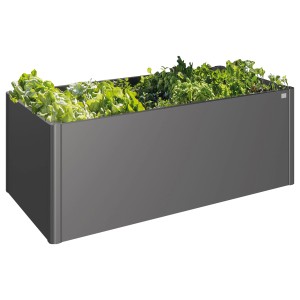 Podwyższona grządka metalowa Biohort, ciemnoszary metalik, obsadzona sałatą i ziołami.