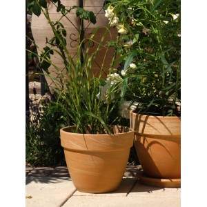Karmelowa doniczka terakotowa Levante (Ø 30 cm) z roślinami do ogrodu i na taras.