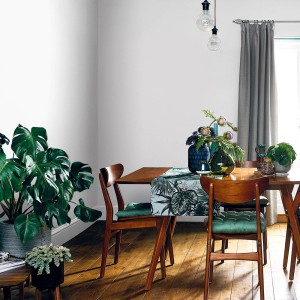 Pokój dzienny z farbą do ścian t.b.t., stołem jadalnym, krzesłami i roślinami doniczkowymi.