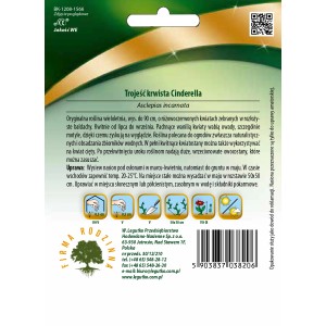 Opakowanie nasion Trojeści krwistej Cinderella. Idealne do ogrodów naturalistycznych.