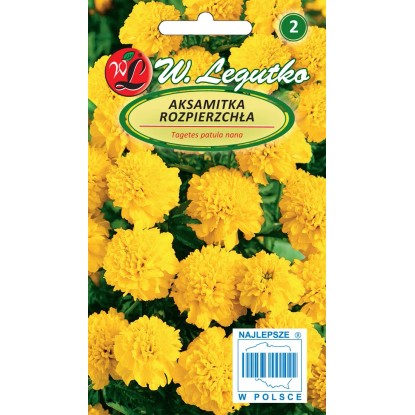 Aksamitka rozpierzchła żółta 1g wys. 15 cm