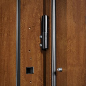 Pantor Drzwi zewnętrzne akustyczne SANTANDER złoty dąb 90L