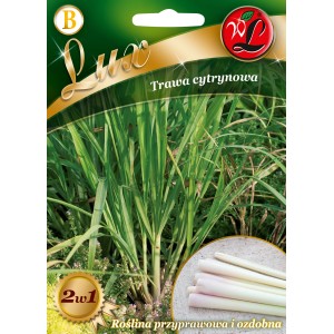 Zdjęcie nasion trawy cytrynowej t.b.t.