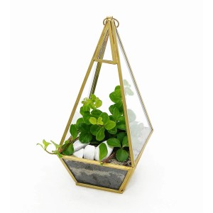 T.b.t. Las w szkle: Geometryczne szklane terrarium z rośliną, kamieniami i złotą ramą.