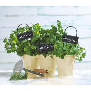 OBI Etykiety do roślin z łupka, zestaw 3 szt., do oznaczania ziół takich jak melisa, bazylia i oregano.