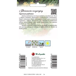 Opakowanie nasion dziurawca: Wieloletnia roślina z żółtymi kwiatami.