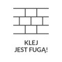 Zdjęcie symboliczne: Elabrick jasnoszara zaprawa klejowa, klej jest fugą.