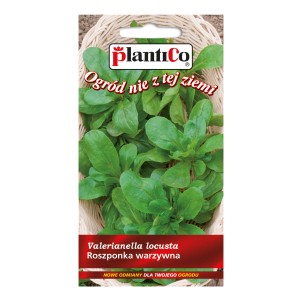 Opakowanie nasion roszponki warzywnej (Valerianella locusta) do uprawy warzyw.