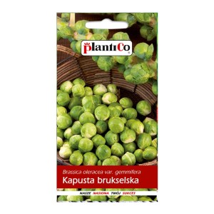 Nasiona kapusty brukselskiej, Plantico. Uprawiaj własne warzywa.